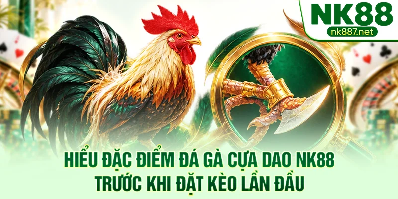 Hiểu đặc điểm đá gà cựa dao NK88 trước khi đặt kèo lần đầu