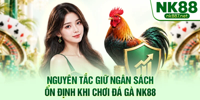 Nguyên tắc giữ ngân sách ổn định khi chơi đá gà NK88