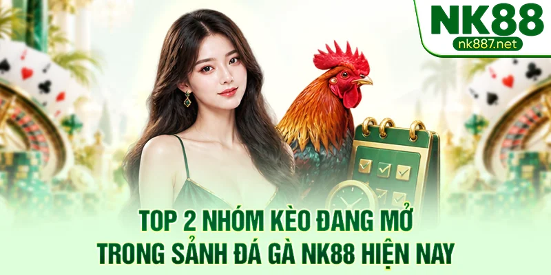 Top 2 nhóm kèo đang mở trong sảnh đá gà NK88 hiện nay
